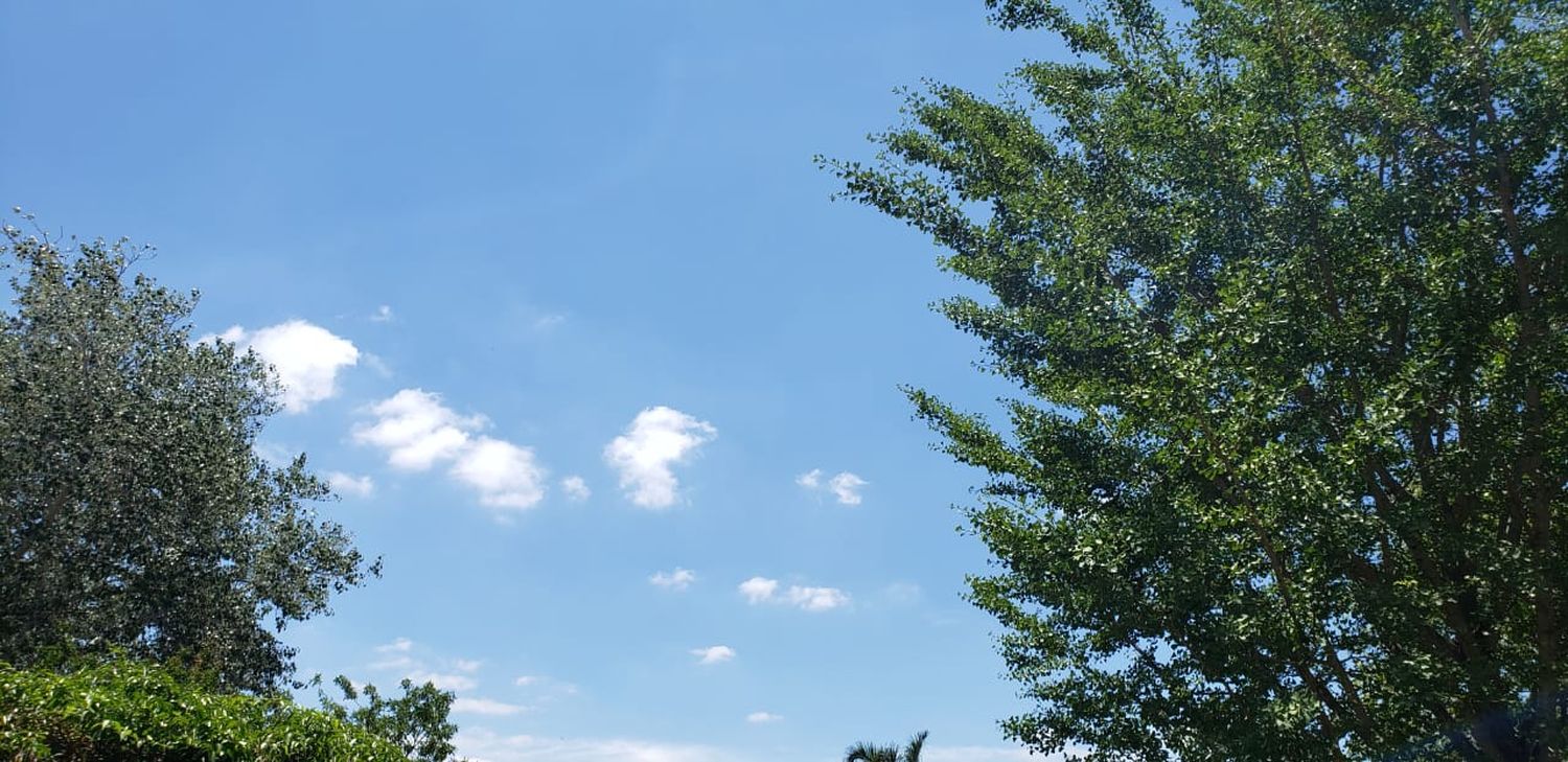 Calor, humedad, y probabilidad de lluvia para este domingo