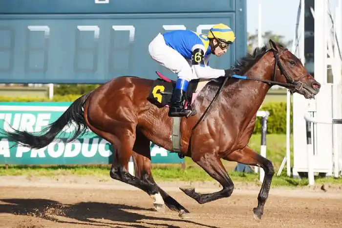 Finde de clásicos en San Isidro y Palermo
