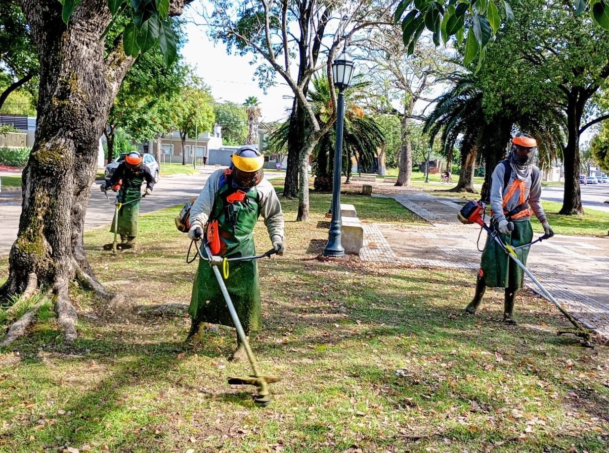 Desmalezado: cuadrillas municipales realizan tareas diarias en espacios públicos