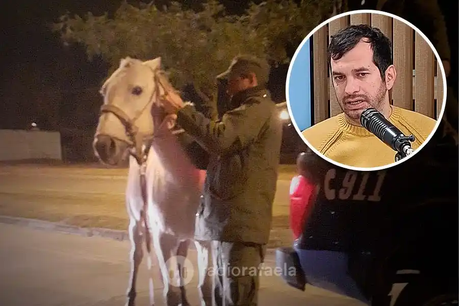 Los caballos sueltos y una problemática sin fin: “No todos los propietarios de los equinos son muy amigables”