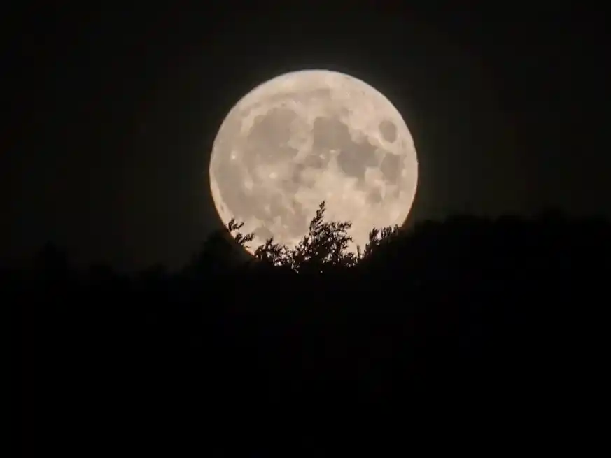La superluna de octubre dio inicio al ciclo y la de noviembre será la más cercana y grande del año.
