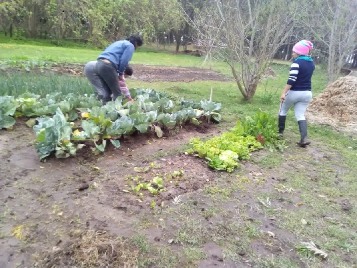 Con una huerta ecológica Brinkmann abren su tercera cooperativa de trabajo   