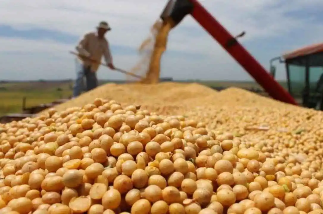 Brasil podría reemplazar a Estados Unidos como proveedor mundial de alimentos