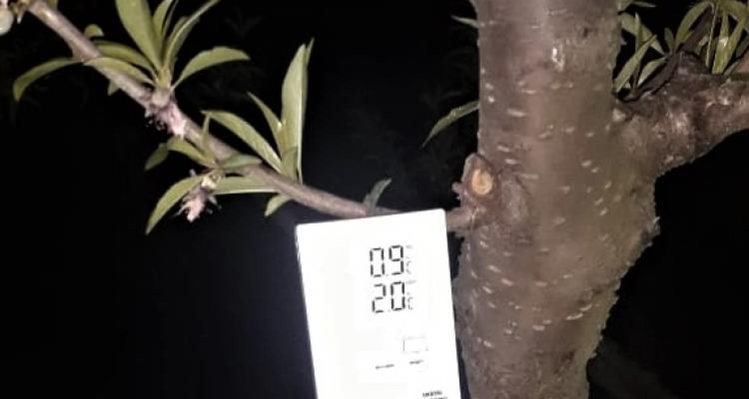 Control de heladas: Inta registró temperaturas bajo cero esta madrugada