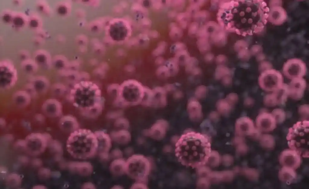 Coronavirus: OMS reconoce “evidencia emergente” de propagación por el aire