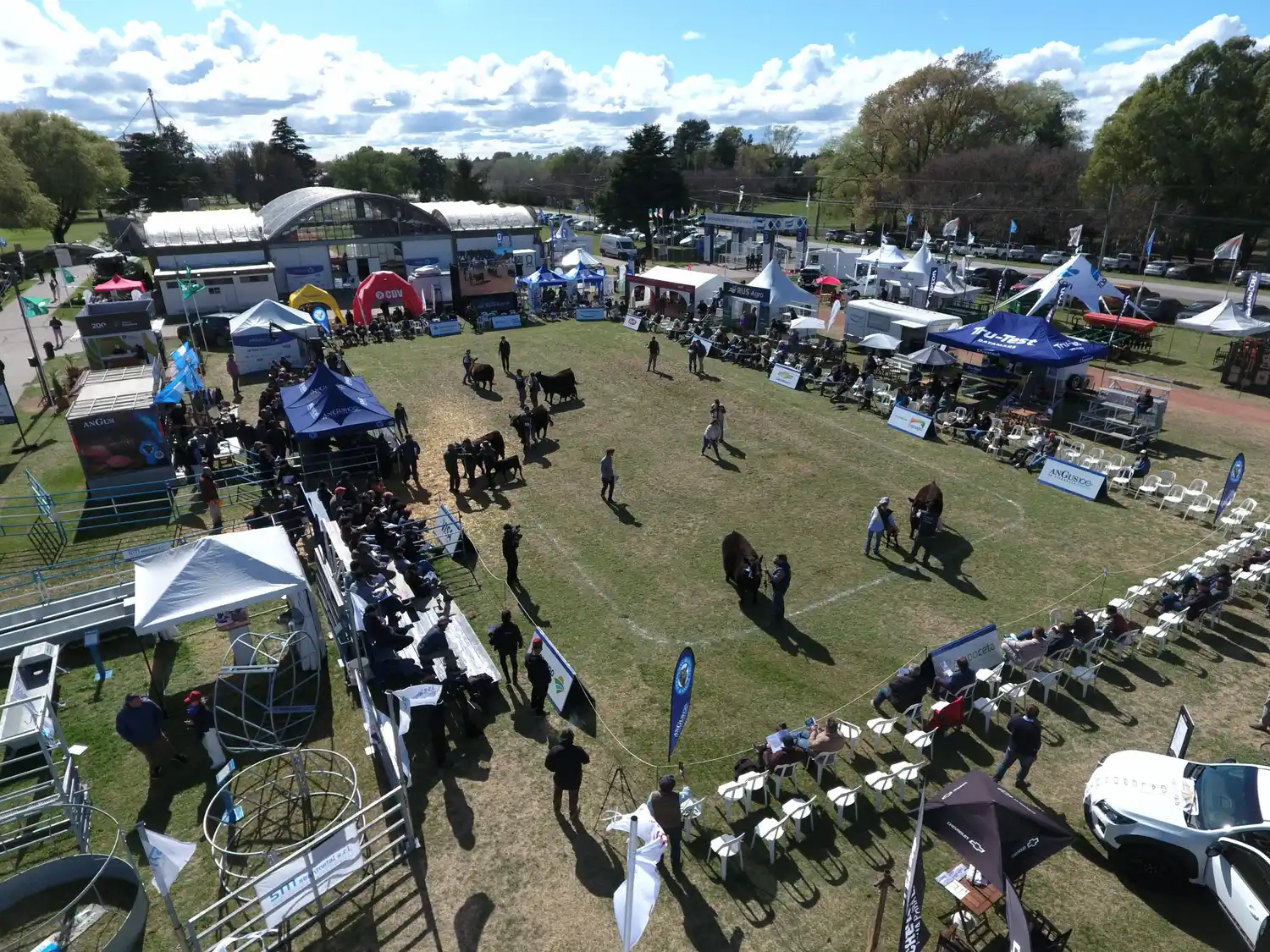 Se viene la 44° Exposición Nacional Angus de Primavera en Olavarría