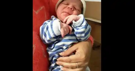 ¡Bienvenido, Milo!