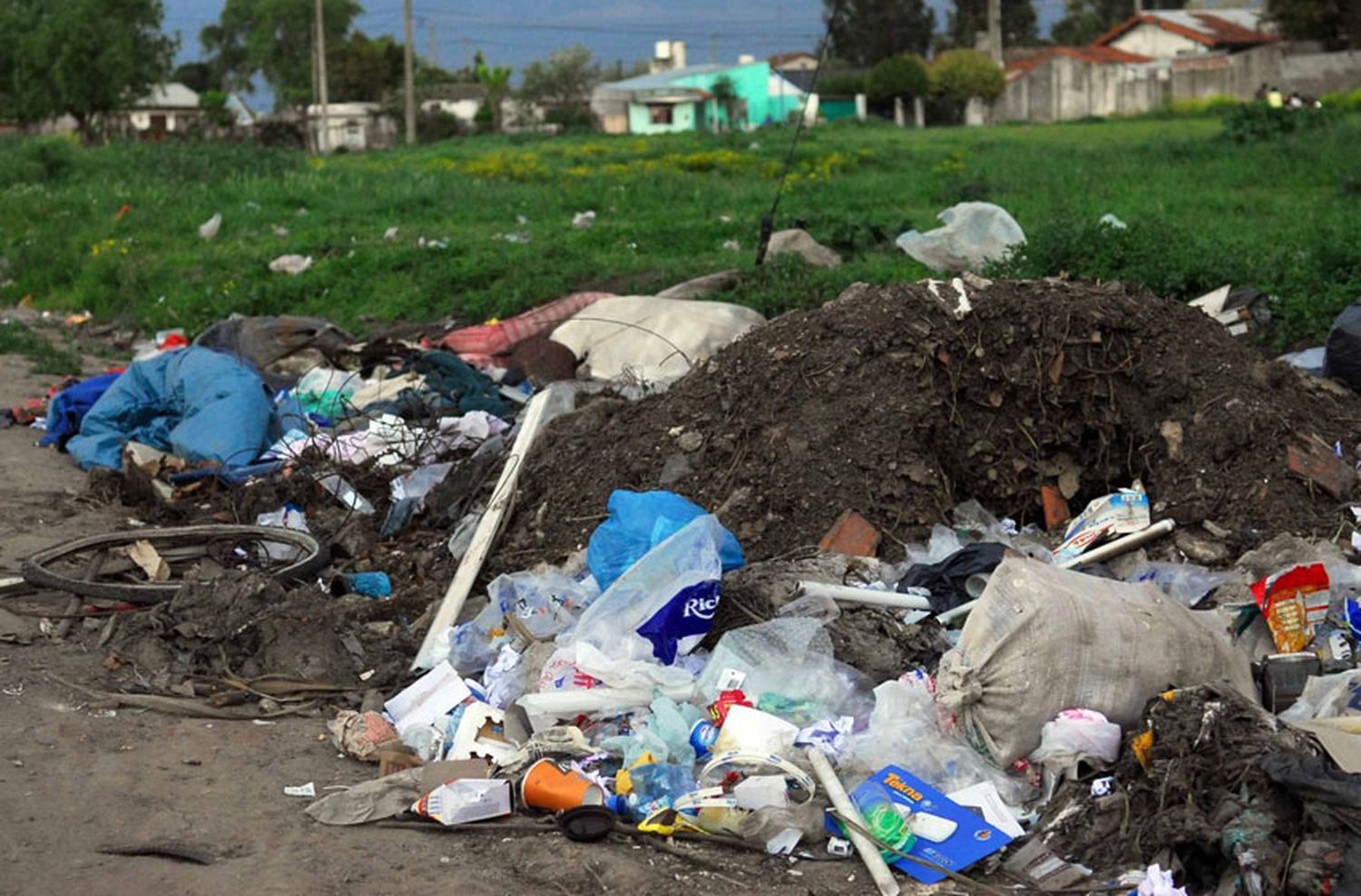 No hay recolección de residuos en Mar del Plata