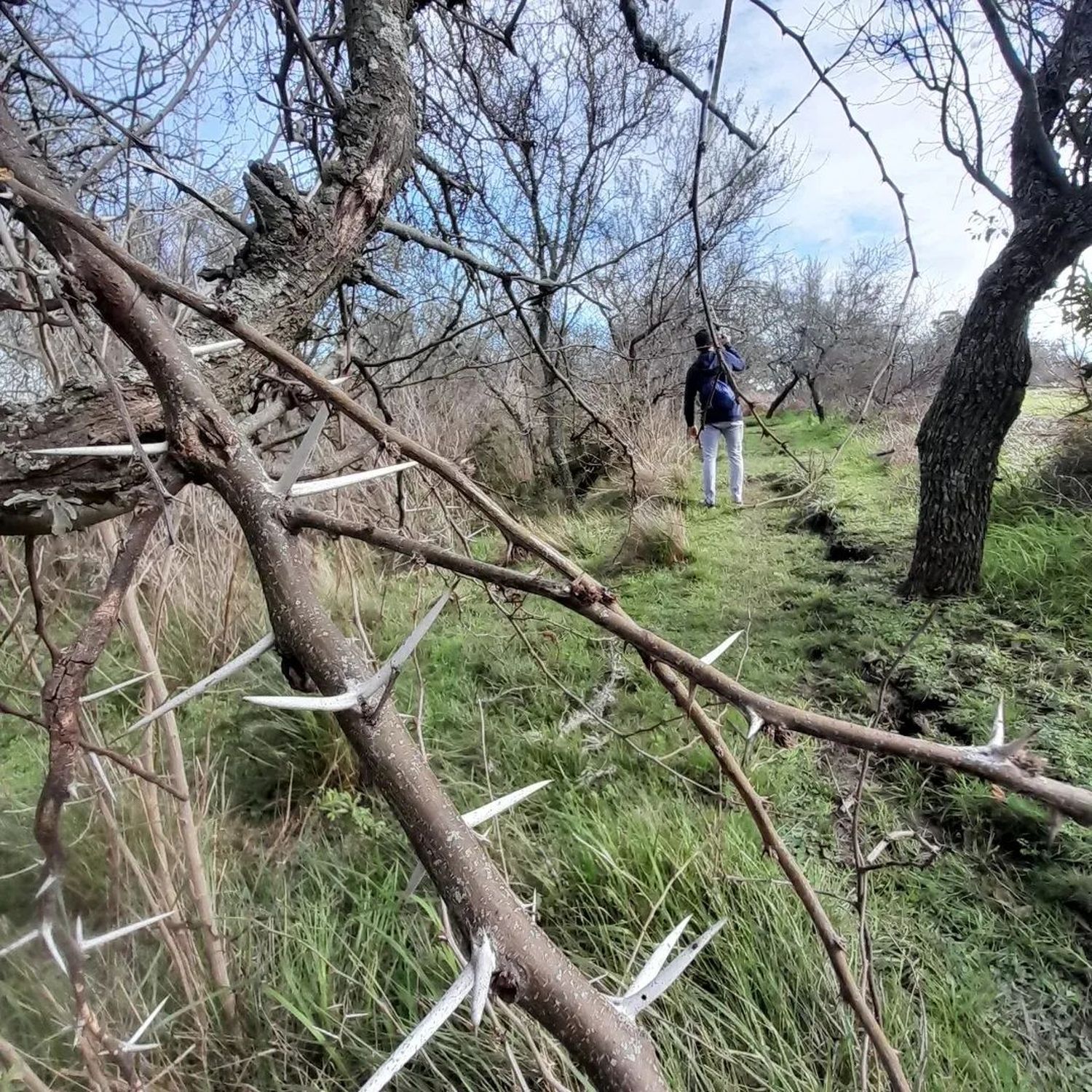 Espinillo Trail 2023: Un desafío natural y sostenible