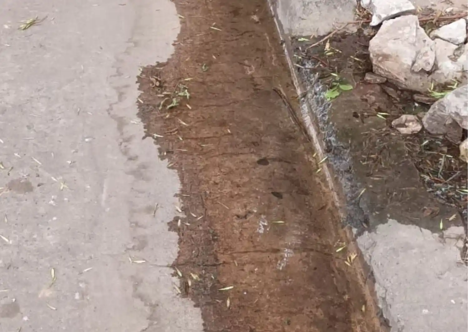 Pérdida de agua en calle Belgrano