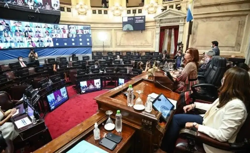 El Senado sancionó el proyecto de legalización del aborto