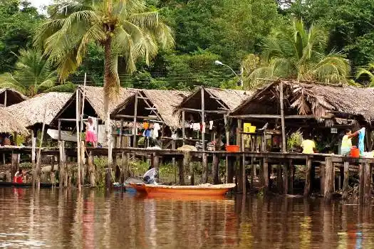 TRAS CONSUMIR CAFÉ TORRADO: dos niñas indígenas mueren intoxicadas en Delta Amacuro