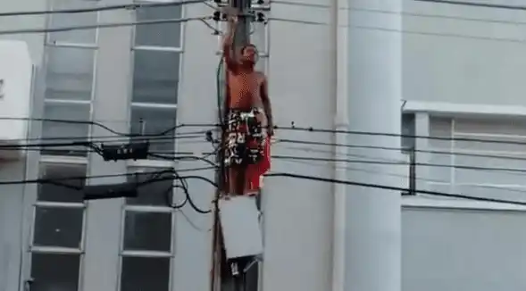 Todo un día estuvo un fugitivo sobre un poste eléctrico para que no lo capturaran (+ Video)