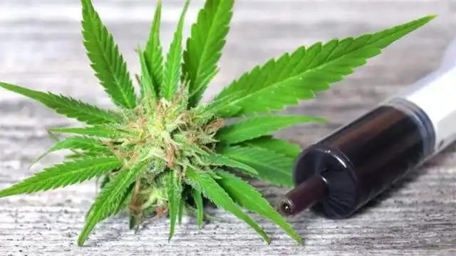 Farmacias agilizarán acceso al cannabis para pacientes con epilepsia refractaria