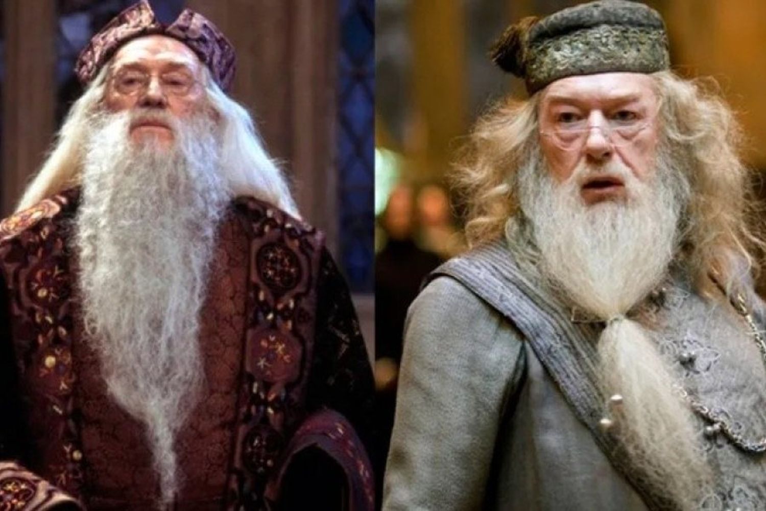 La historia de los dos Dumbledore de Harry Potter