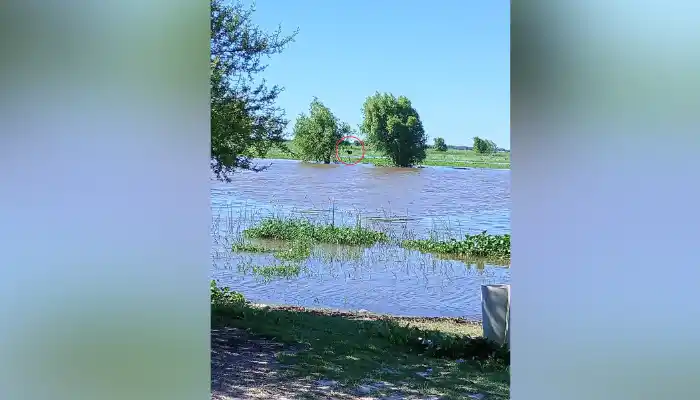 Caballo estancado en Cantando en el Río