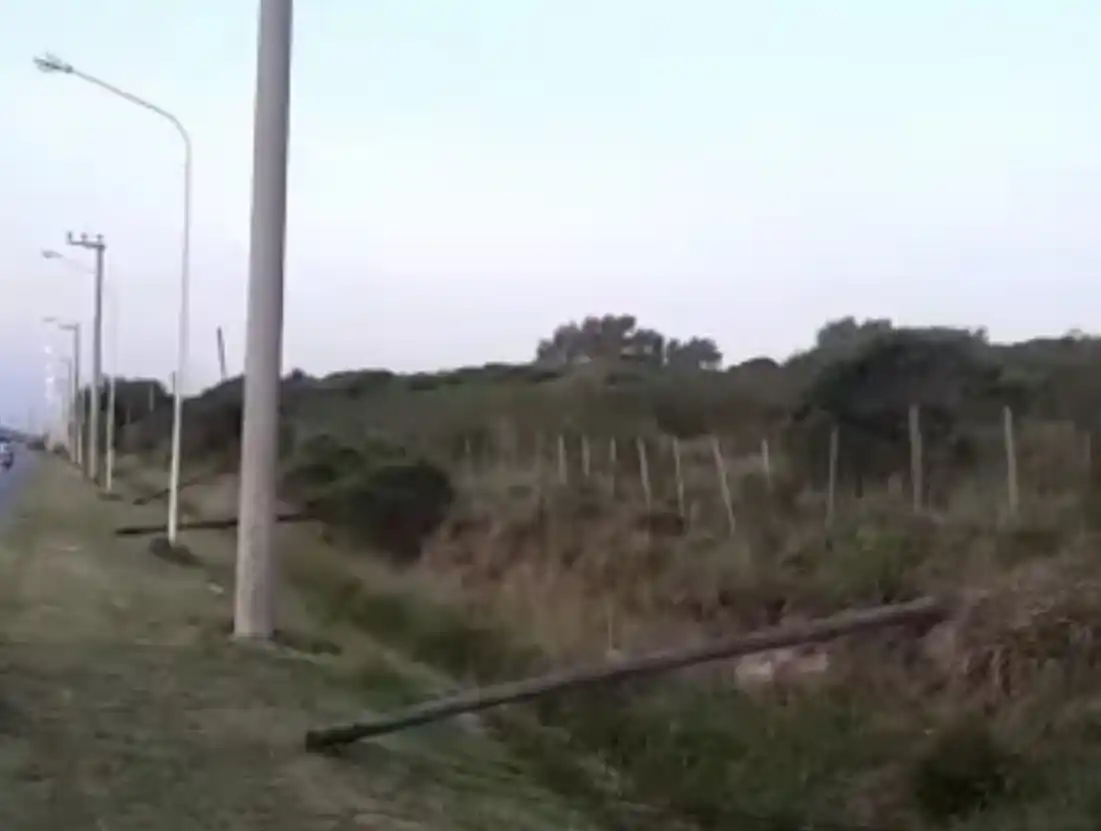 Robaron cables en la avenida Estrada.