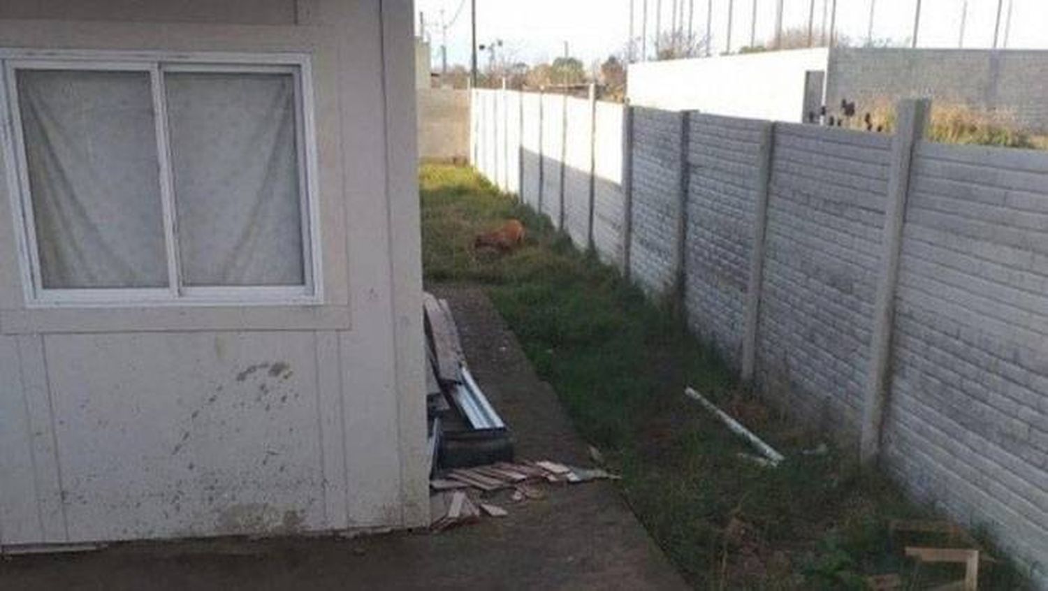 Un joven murió tras ser mordido por dos perros al ingresar a robar en una casa