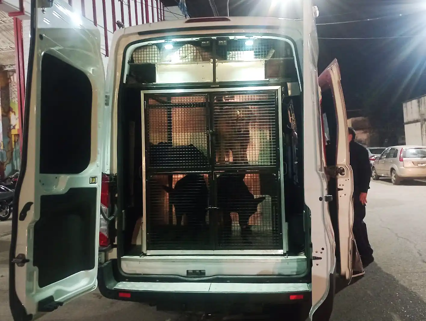 La Brigada K9 de Bomberos participa en la búsqueda de Loan