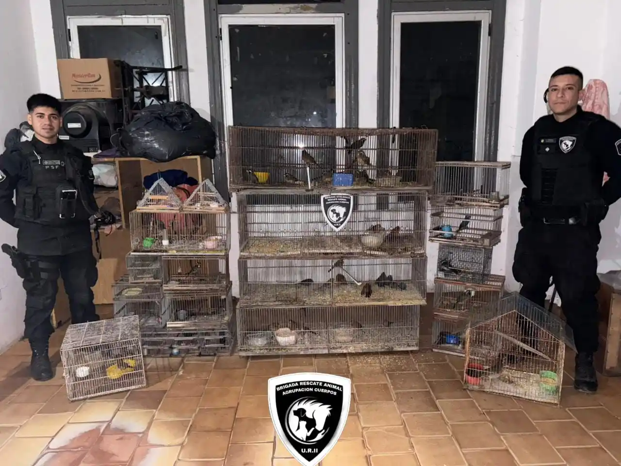 Operativo de rescate de aves en Pérez.