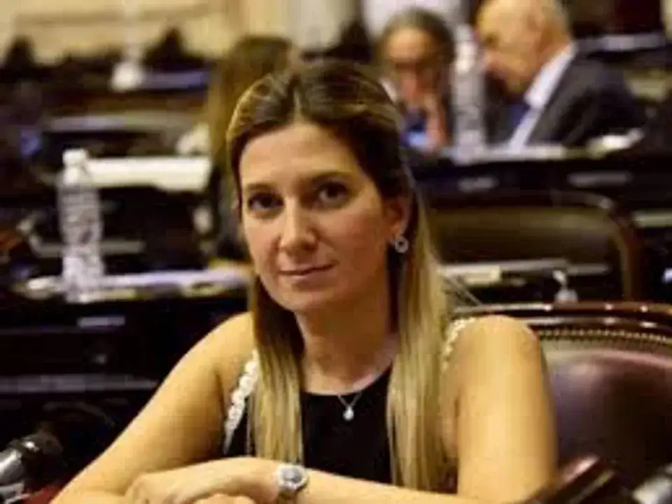 Lospennato: "Votar contra vetos no es querer voltear al Gobierno" y pide recomponer la confianza