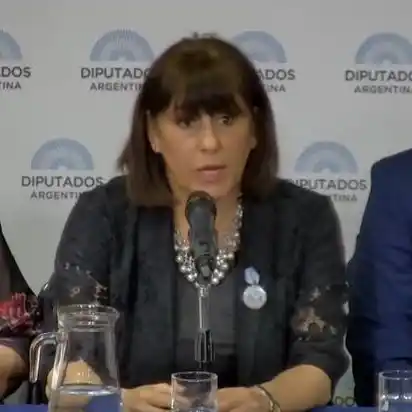 Compendio de la exposición científica sobre Covid y vacunación en Diputados