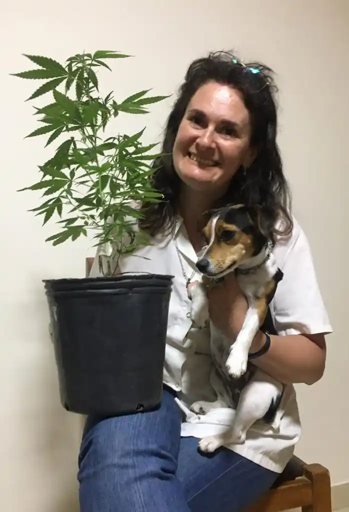 Animales y veterinarios siguen aguardando que la legislación los ampare en el uso del cannabis terapéutico