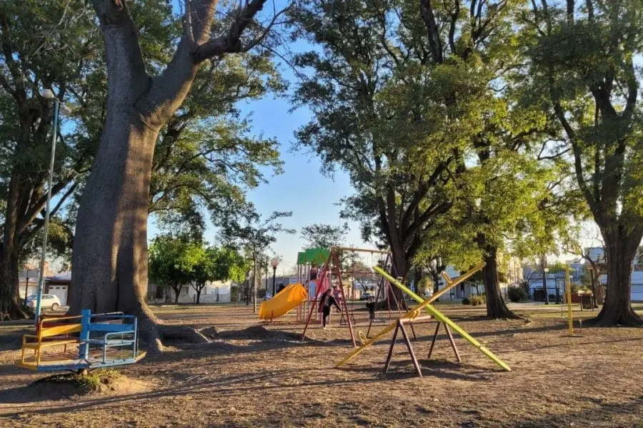 Abrieron un registro para quienes estén interesados en plantar árboles frente a su casa en Barrio Villa Rosas