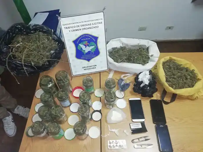 Un Pitbull custodiaba una casa donde vendían droga