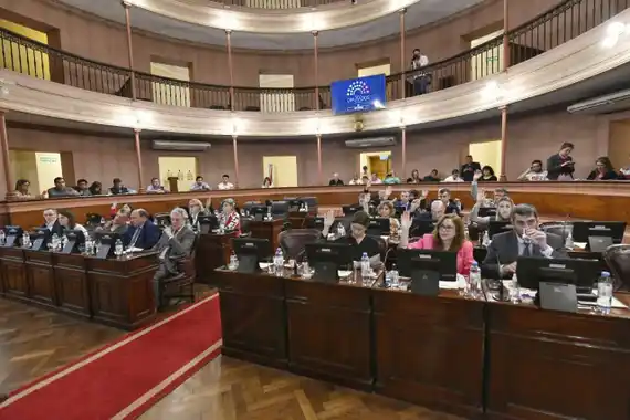 Legado Vasallo :diputados aprobó el proyecto de ley de dominio de inmuebles