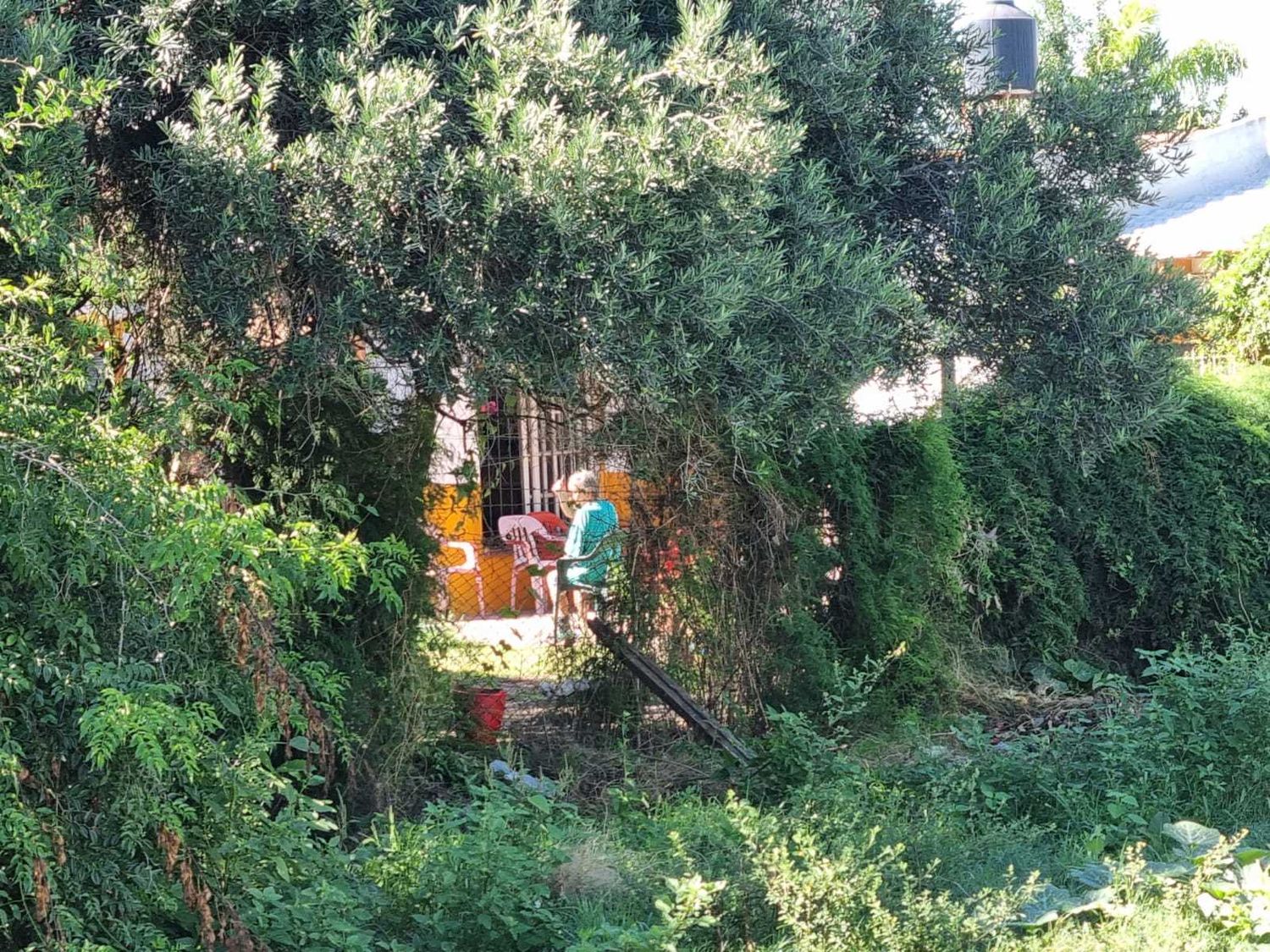 El jardín del geriátrico que dirige el médico Julián Gómez y los internos que esperan que se les brinden las condiciones adecuadas.