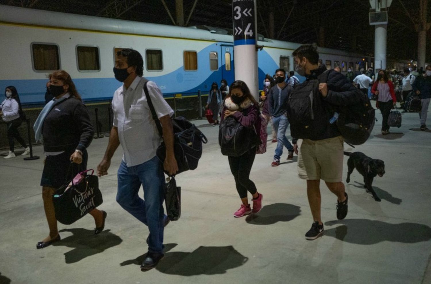 El tren a Mar del Plata contará con tres frecuencias diarias