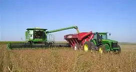 Soja entrerriana: Rendimientos muy desuniformes