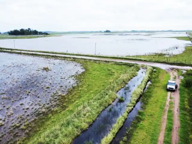 La campaña gruesa sigue condicionada por los contrastes hídricos