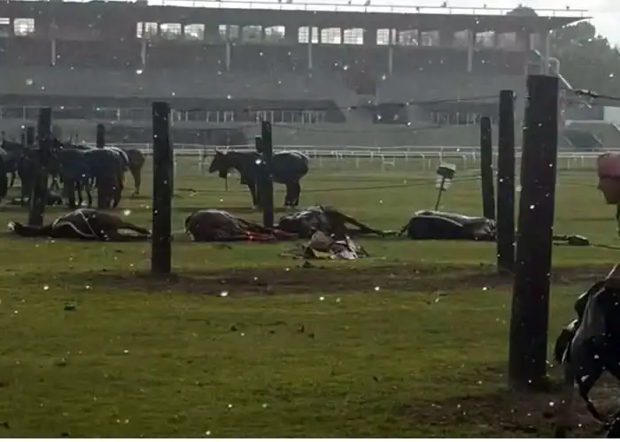 Tragedia en San Isidro: un rayo mató a cuatro caballos de polo en el Jockey Club