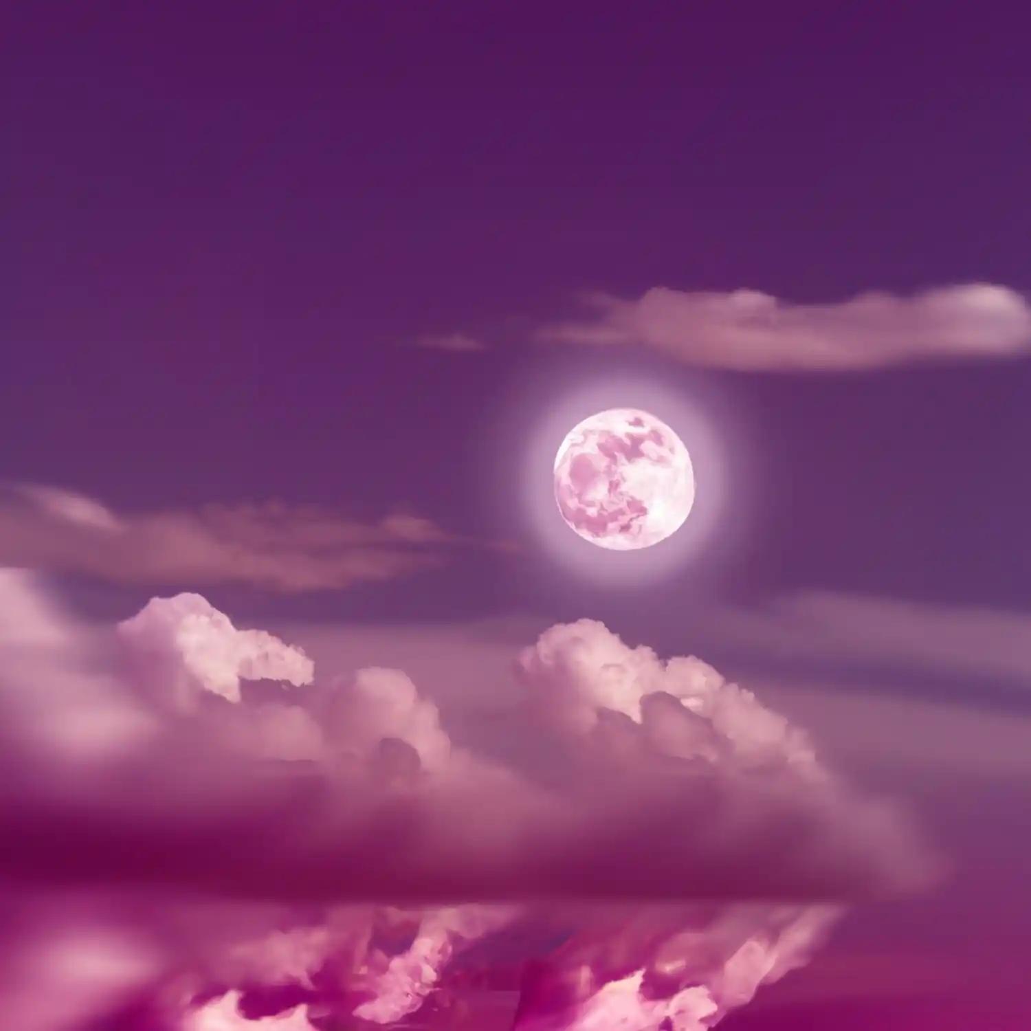 luna rosa - 1