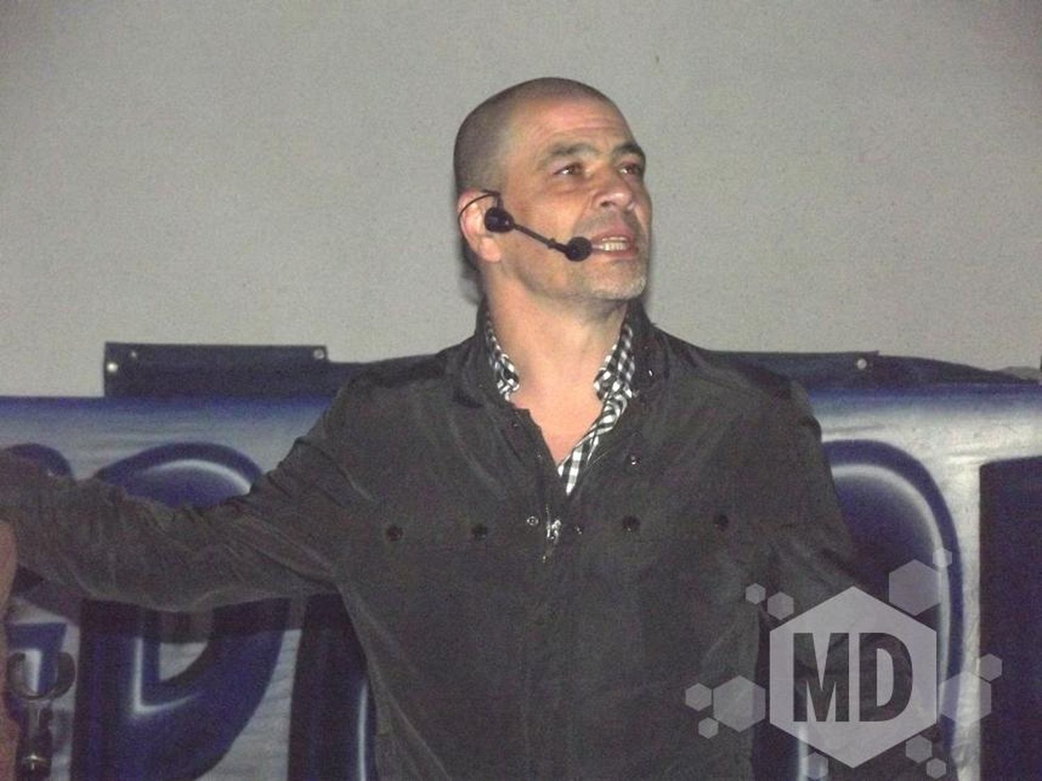 Oveja rockstar