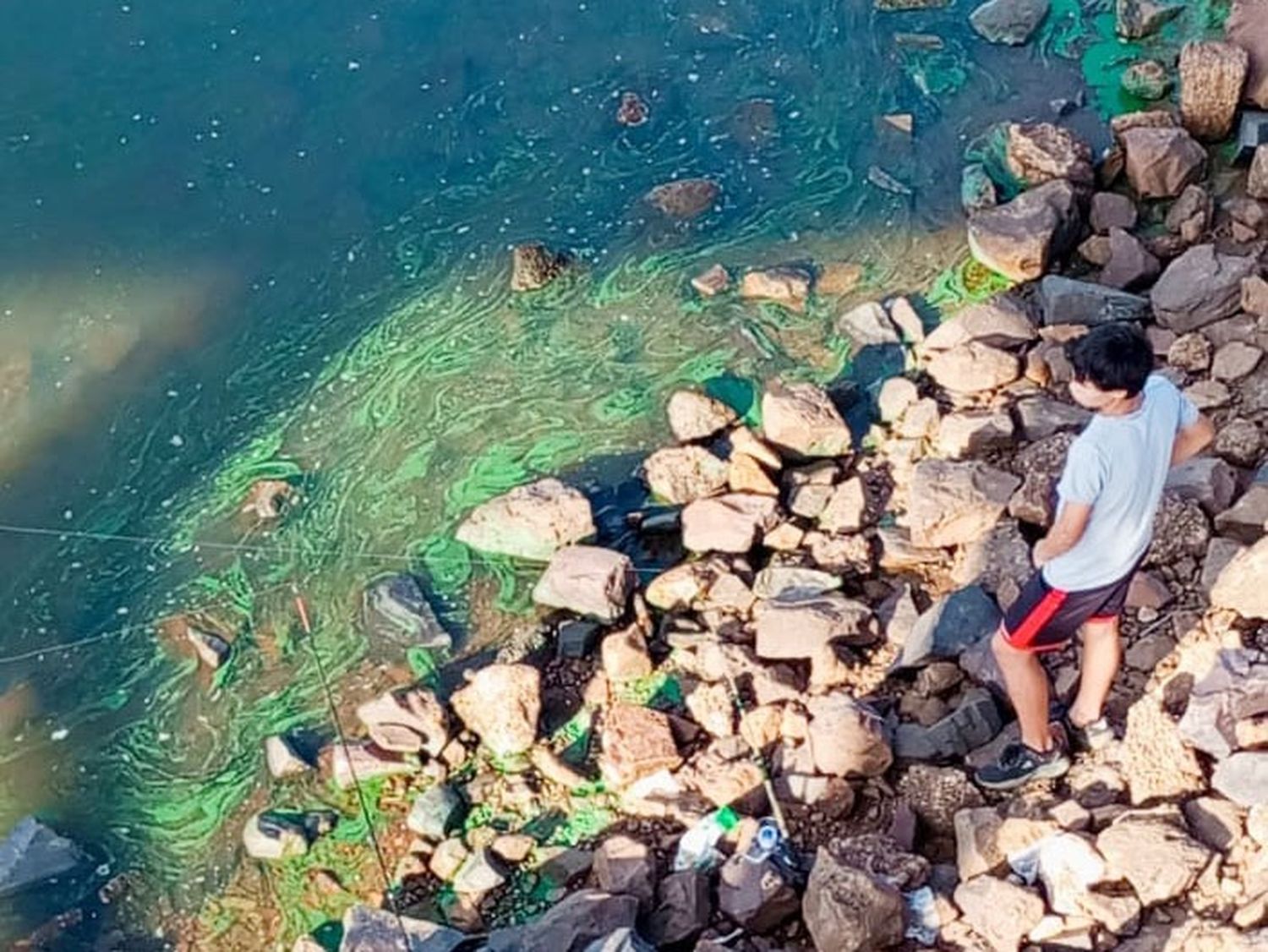 El río Uruguay: alerta por las cianobacterias