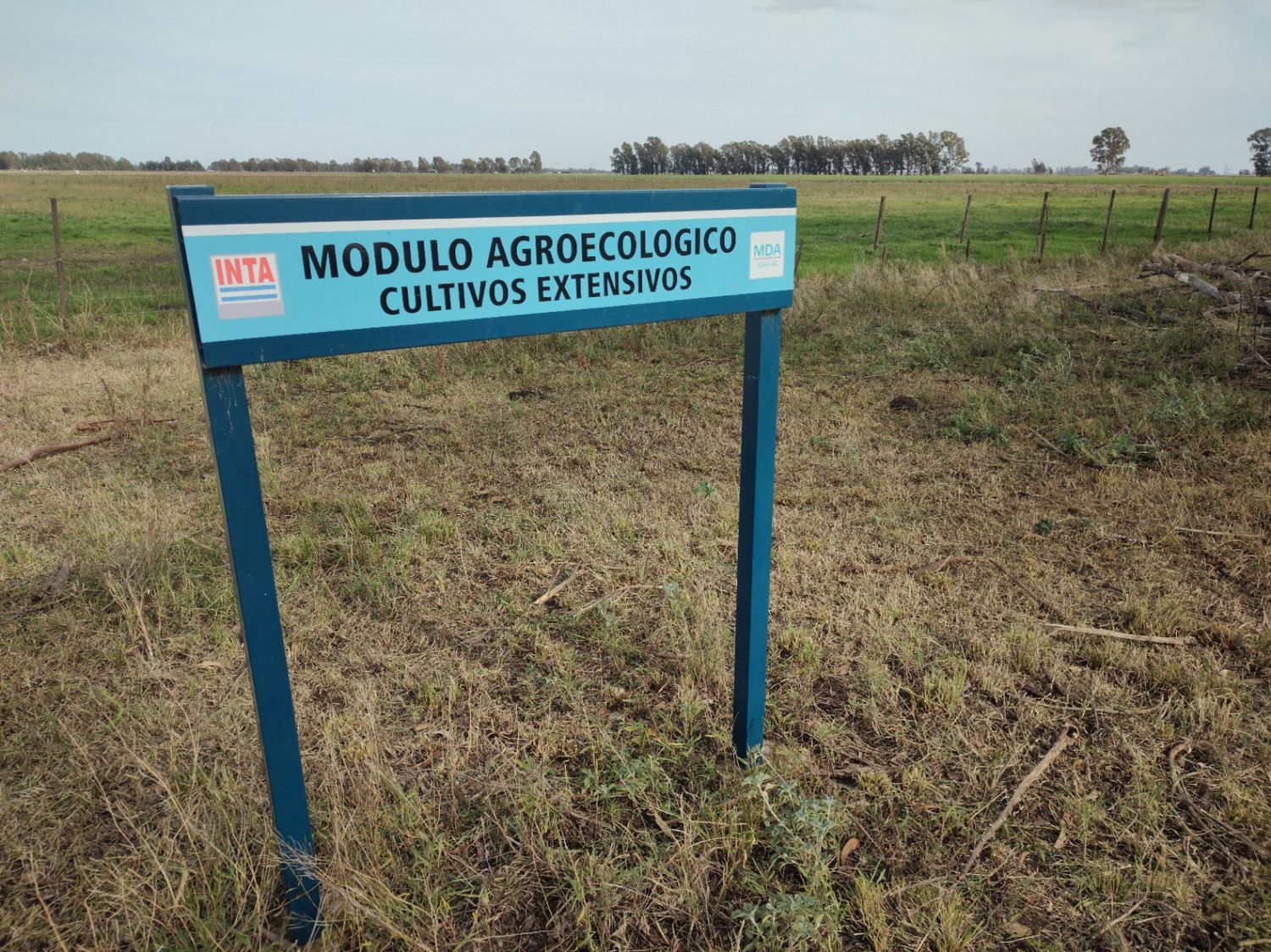 Para no partir más al medio el ambiente