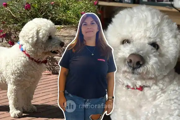 Llega la décima edición de la Marcha del Orgullo Animal: la idea es “pasar una linda tarde en familia con las mascotas”