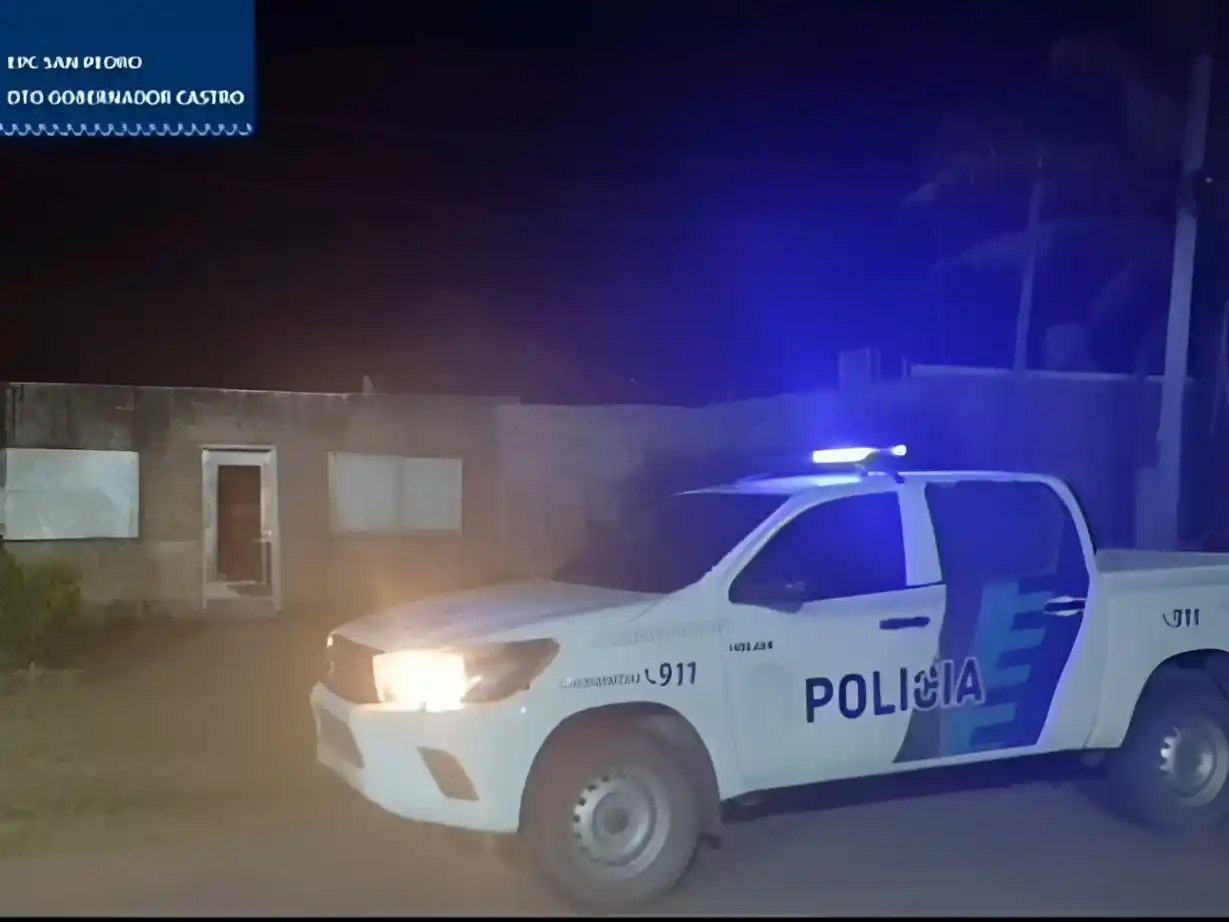 Fiscalía ordenó imputar a la mujer por las plantas de marihuana.