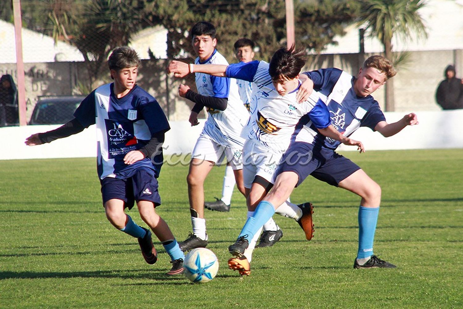 Se conoció a los convocados de la Selección SUB-15