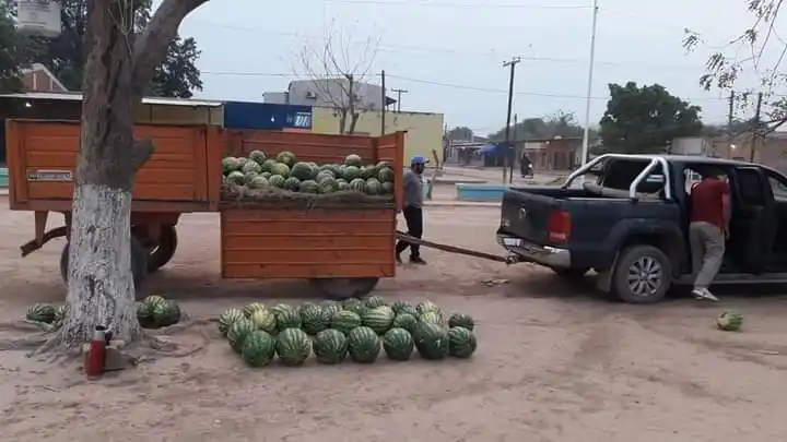 Primicia de sandías en Laguna Yema: salieron más de 30 mil kilos de la zona