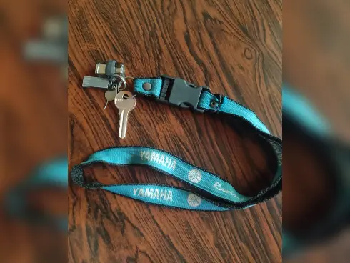 Dani encontró estas llaves