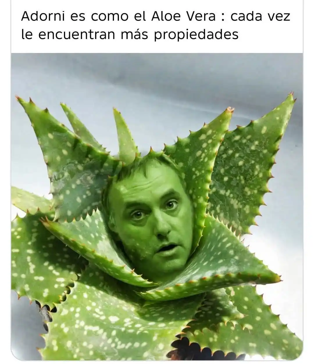 adorni memes
