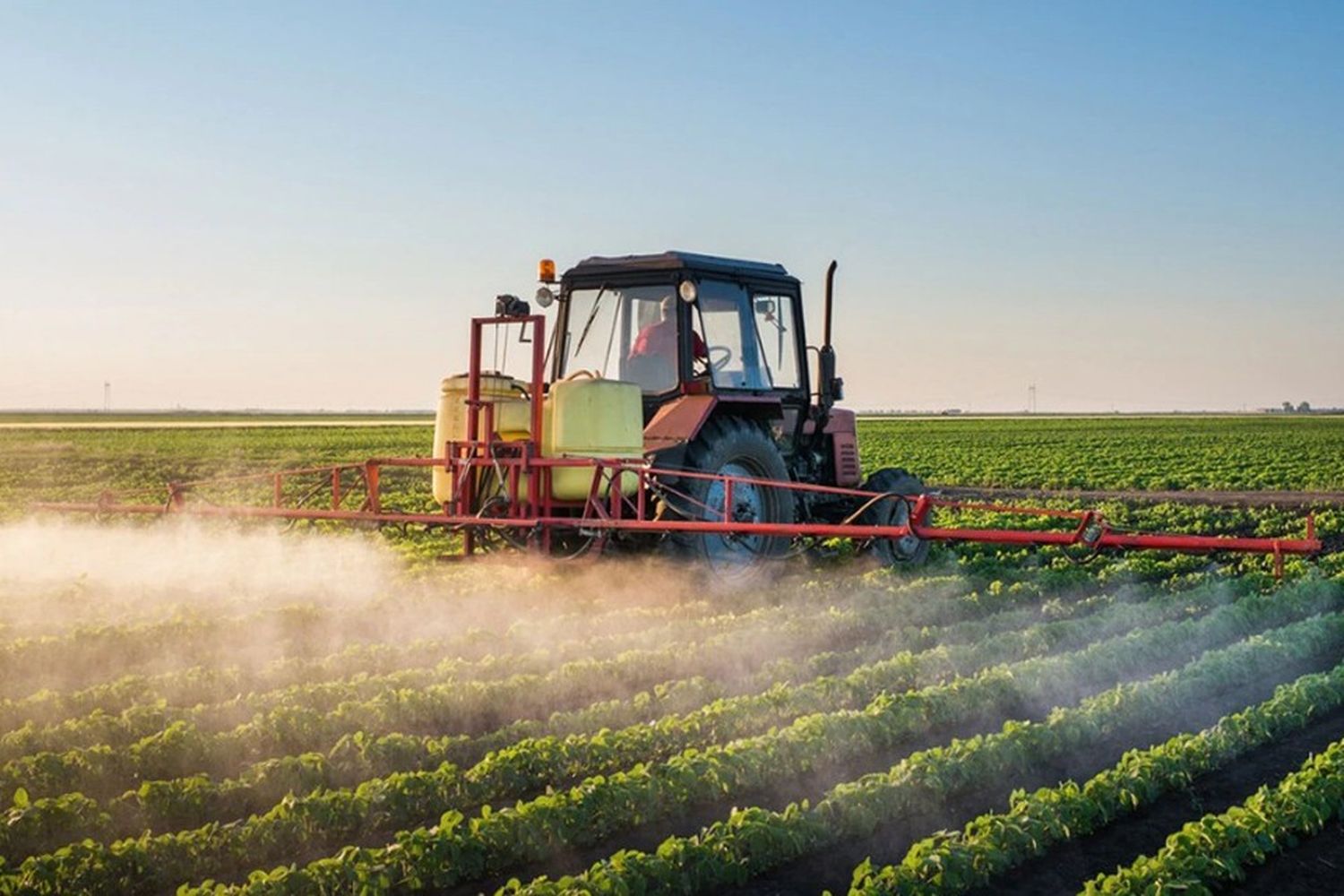 Fumigaciones: Ambientalistas cuestionaron y pusieron en duda el proceder del STJ