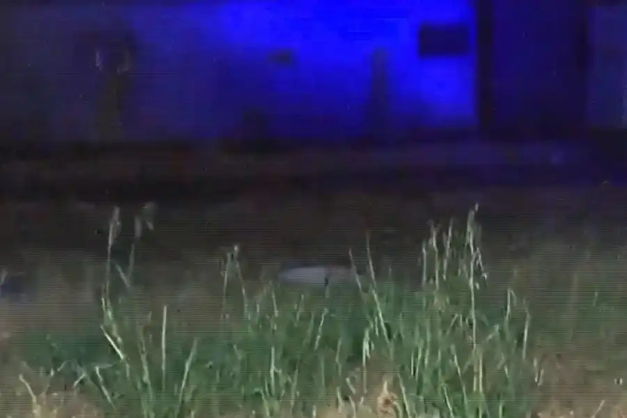 Consternación: encontraron el cuerpo sin vida de una beba que habría sido asesinada a poco de nacer en Rosario