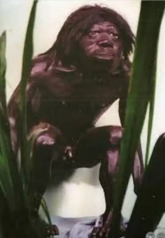 Imagen ilustrativa de cómo sería la apariencia de El Pombero. (Foto: gentileza Comunas del Litoral)