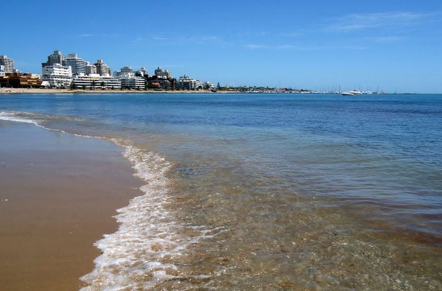 Una bacteria le impidió a los turistas bañarse en la playa La Mansa de Punta del Este