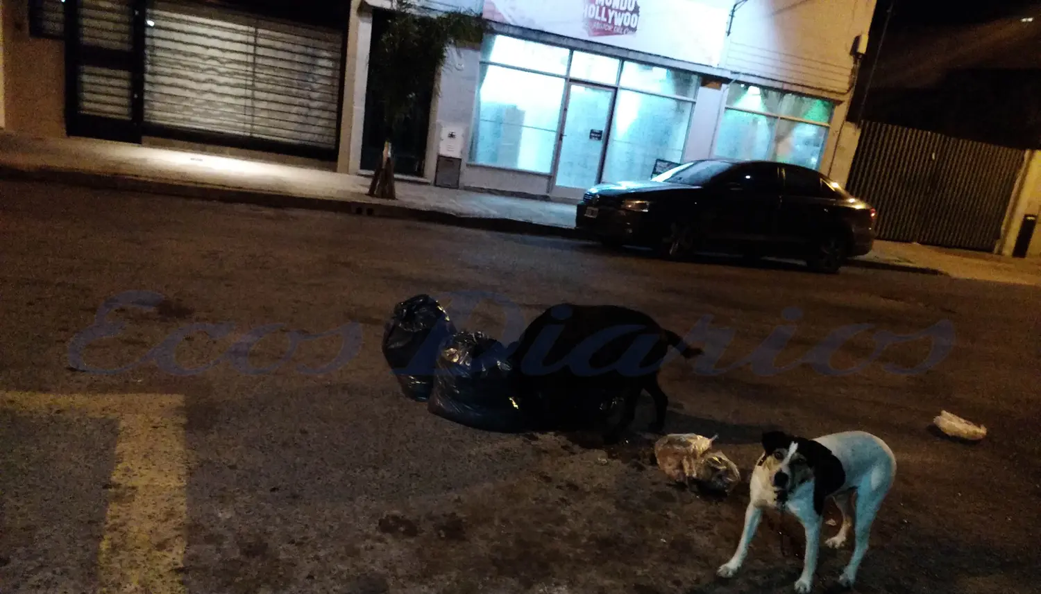 Los residuos y los perros callejeros